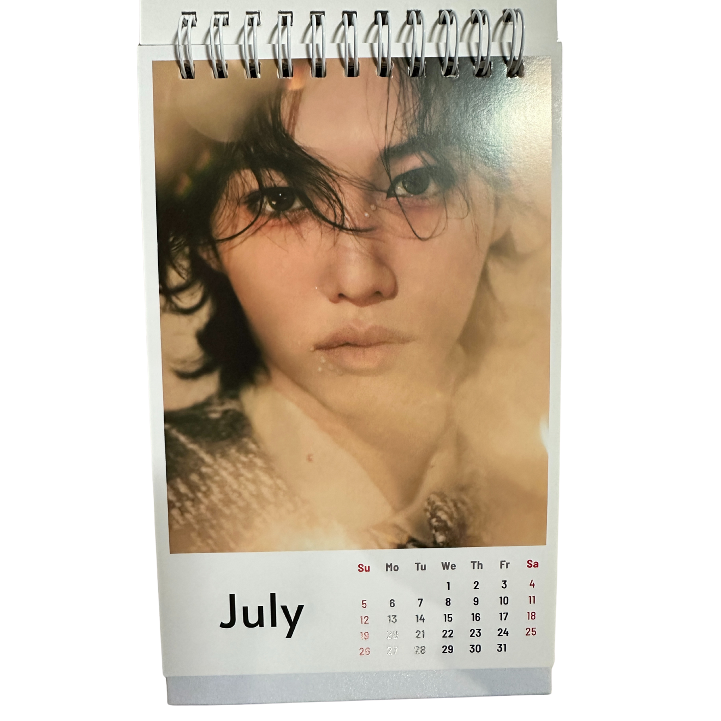 STRAY KIDS 2026 Desk Calendar – Hollow Edition Hola Korea